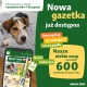Ikona
