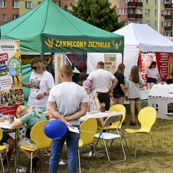 Zdjęcie